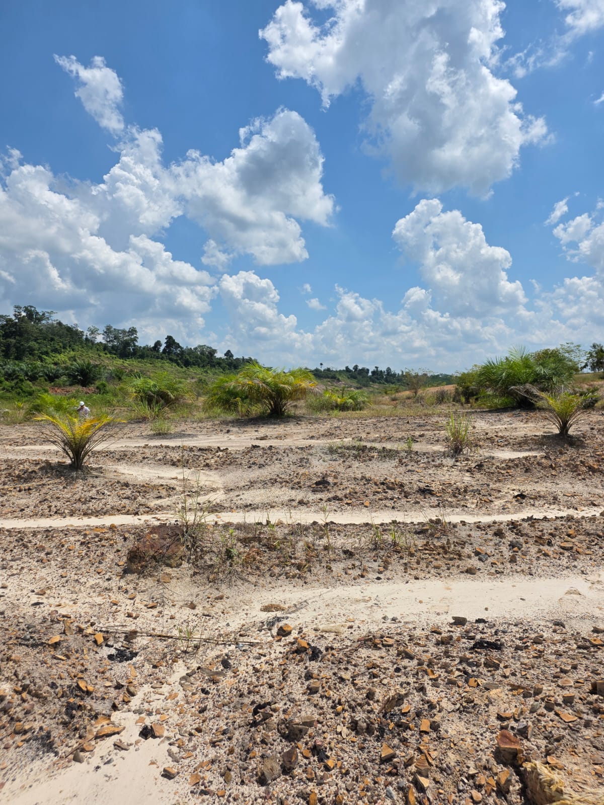 Field documentation 15