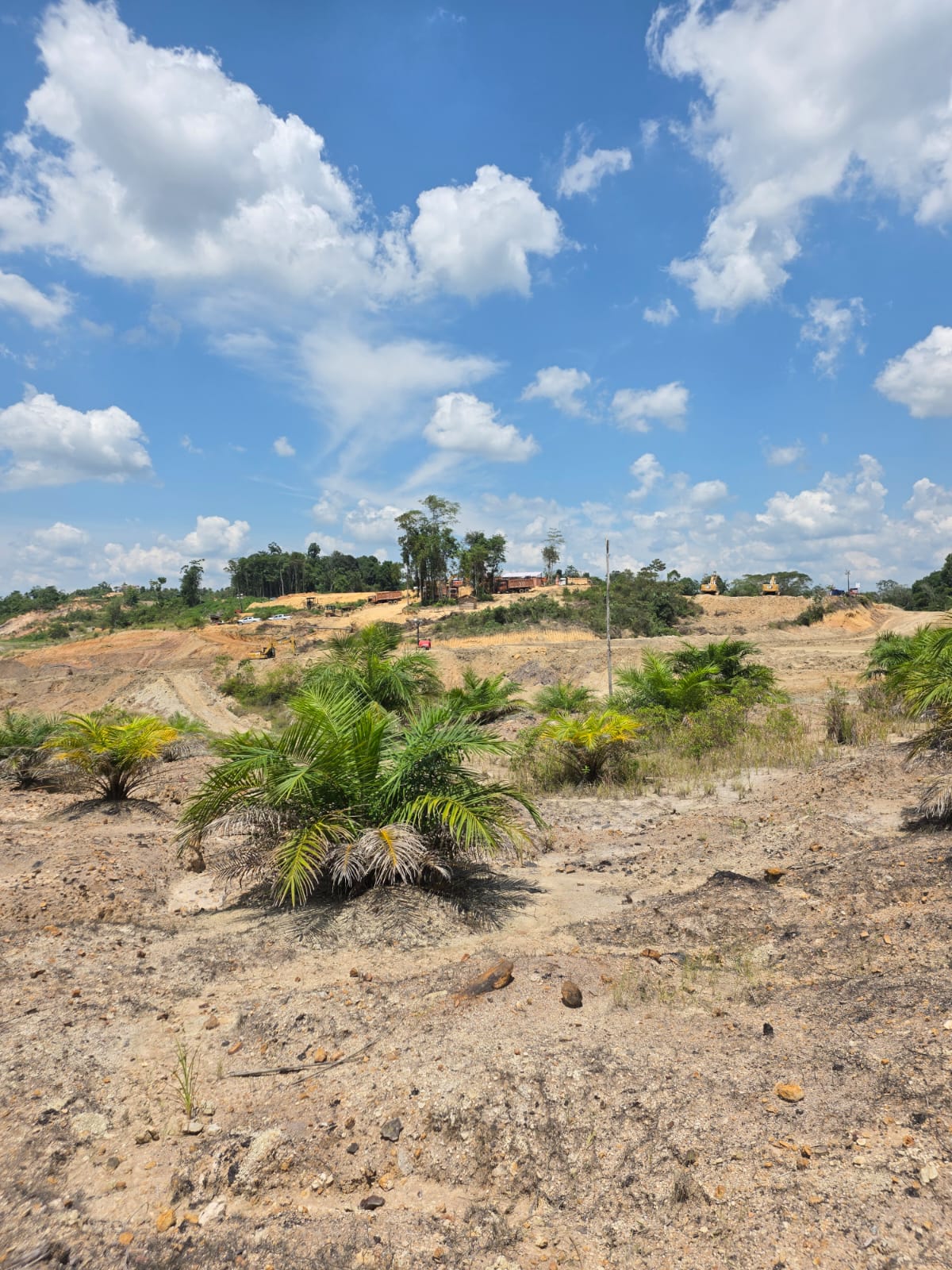 Field documentation 16