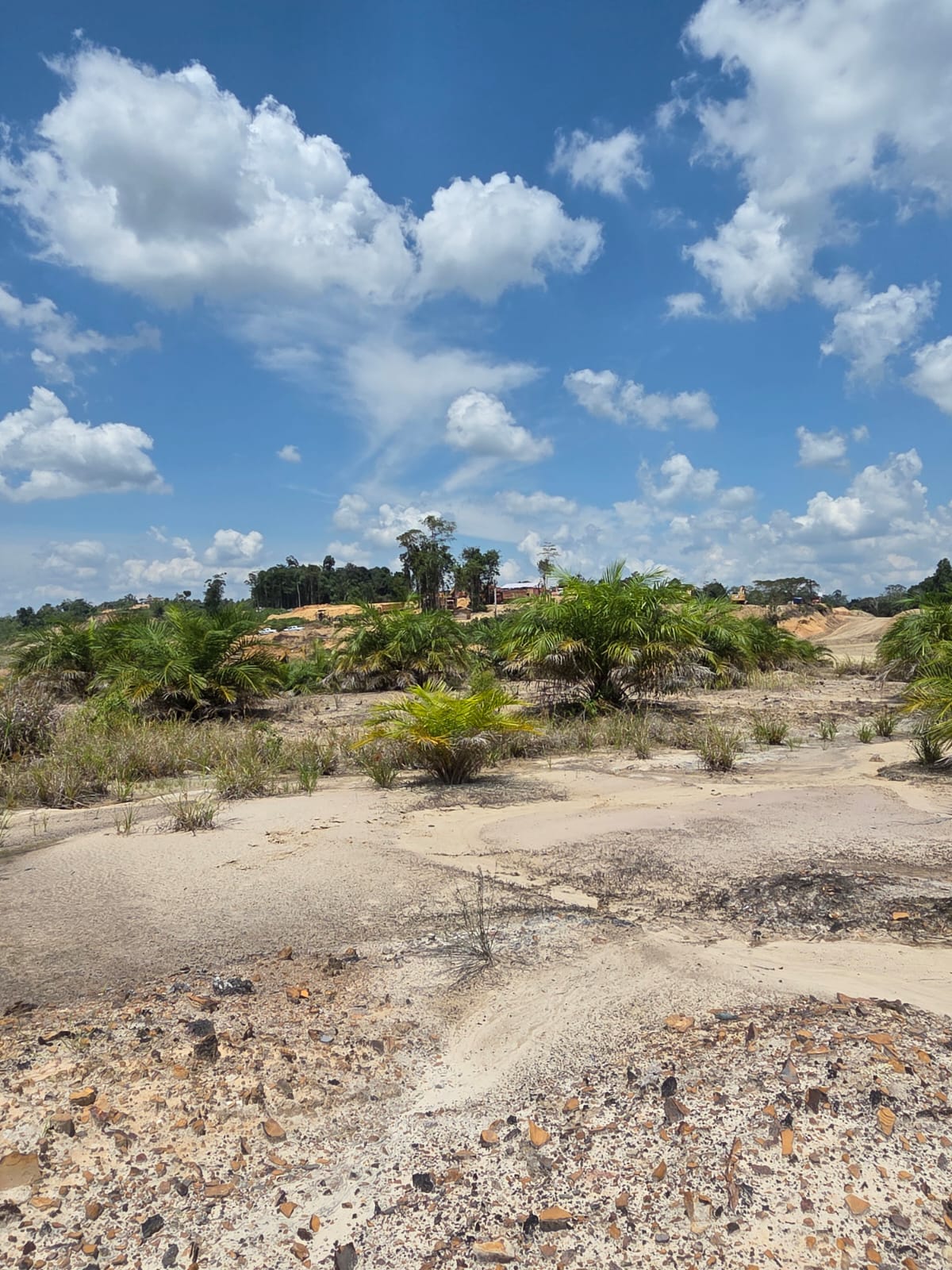 Field documentation 18